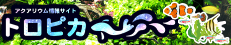 トロピカ