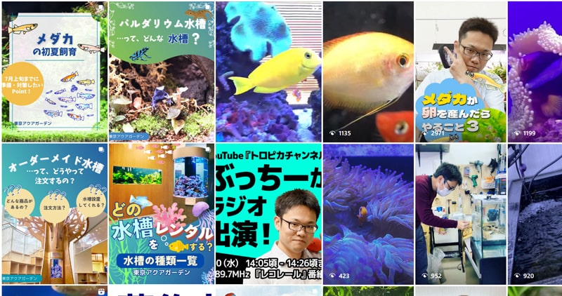 インスタグラム