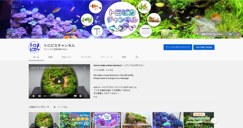 トロピカチャンネル