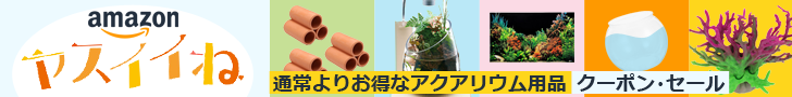 Amazon ヤスイイね 通常よりお得なアクアリウム用品はこちら