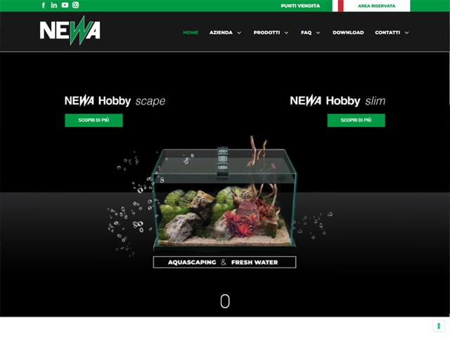 ネワ ホームページ