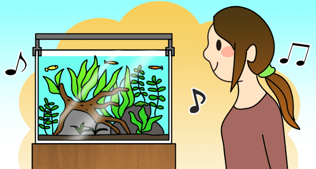 サービスご依頼はこちら