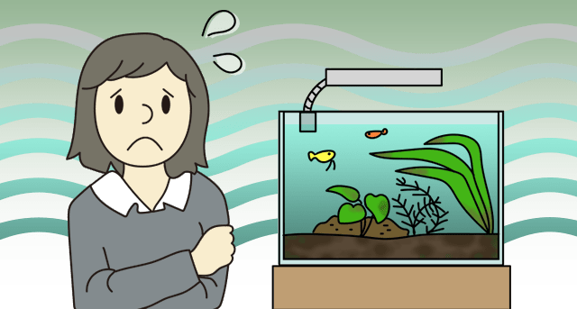 お悩み相談はこちら