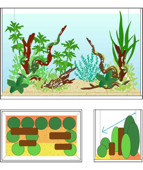 水草水槽 レイアウト 凹型構図