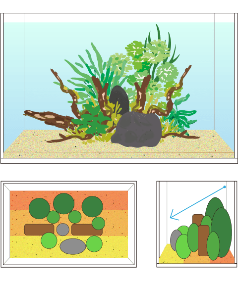 水草水槽 レイアウト 凸型構図