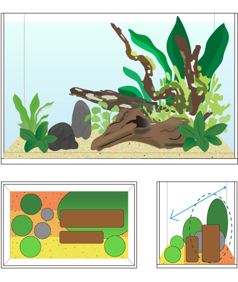 水草水槽 レイアウト 三角構図