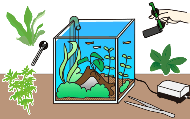 水草水槽の作り方