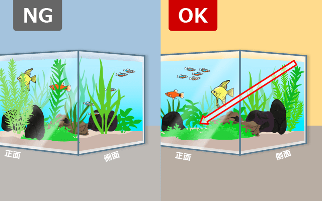 水草を植える位置