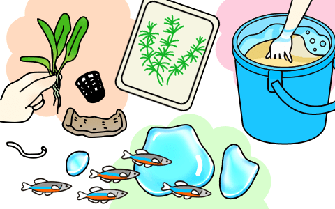 水草水槽の作り方・立ち上げる方法