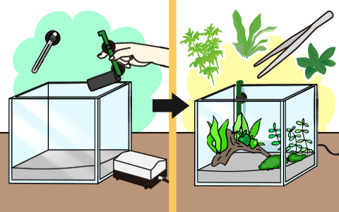 水草水槽の作り方・立ち上げる方法３ セッティング・水草を植える