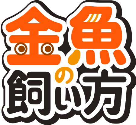 金魚の飼い方