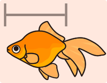 金魚の特徴 丸手