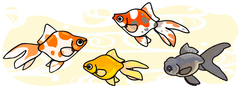 金魚の種類