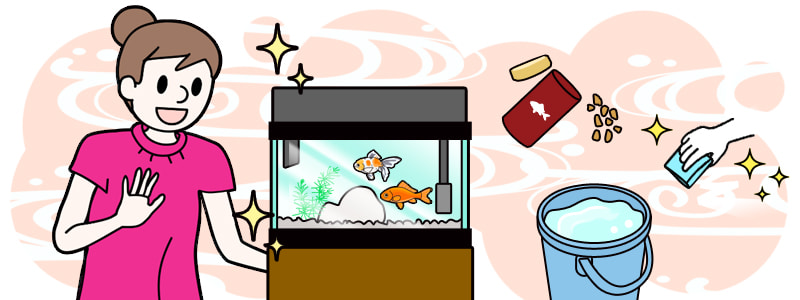 金魚 掃除 エサやり