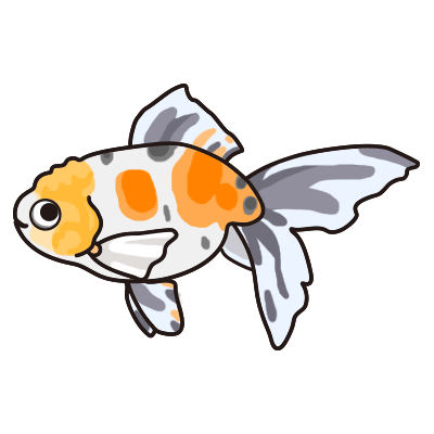 金魚水槽レンタル 東錦