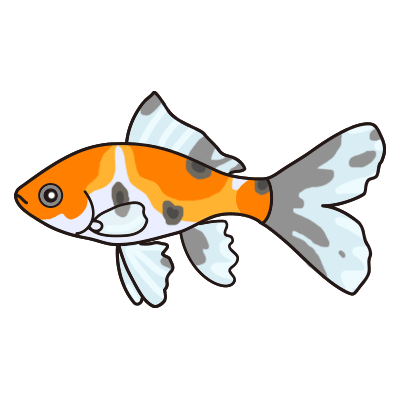 金魚水槽レンタル ブリストル