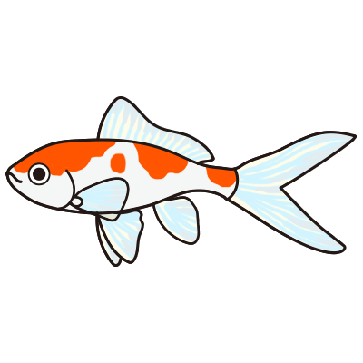 金魚水槽レンタル コメット