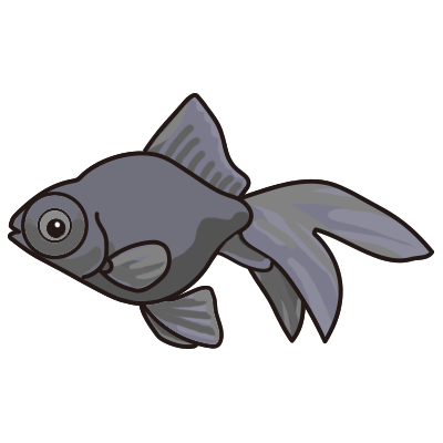 金魚水槽レンタル 出目金