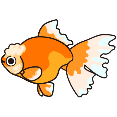 金魚水槽レンタル オランダ獅子頭