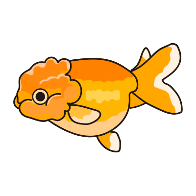 金魚水槽レンタル ランチュウ