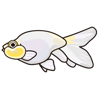 金魚水槽レンタル 水泡眼