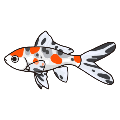 金魚水槽レンタル 朱文金