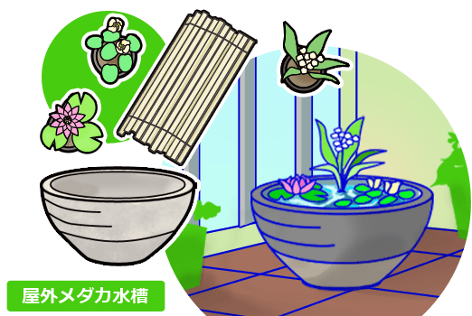 メダカ水槽 必要なもの 屋外メダカ水槽