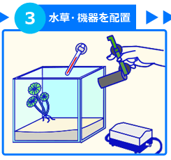 室内メダカ水槽 設置方法 ステップ３