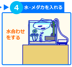 室内メダカ水槽 設置方法 ステップ４