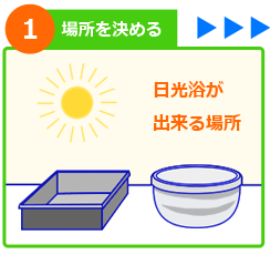 屋外メダカ水槽 設置方法 ステップ１