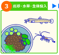 屋外メダカ水槽 設置方法 ステップ３