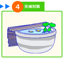 屋外メダカ水槽 設置方法 ステップ４