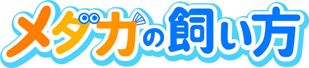 メダカの飼い方