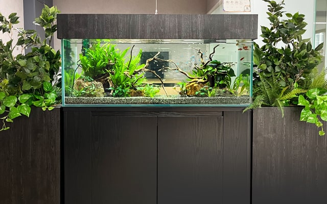 アクアガーデンの水草水槽が欲しい方はこちら