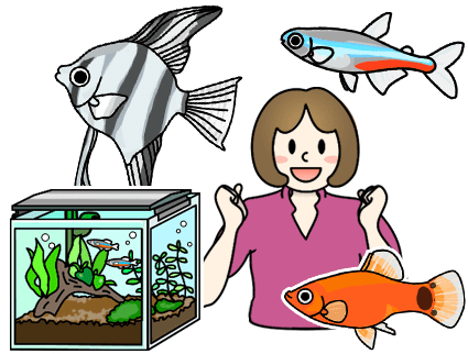 熱帯魚水槽