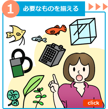 熱帯魚の飼い方１ 必要なもの