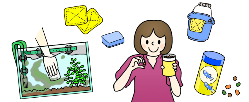 熱帯魚 餌 掃除