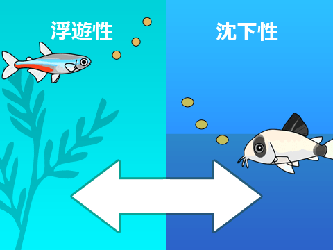 熱帯魚 エサの選び方 人工飼料