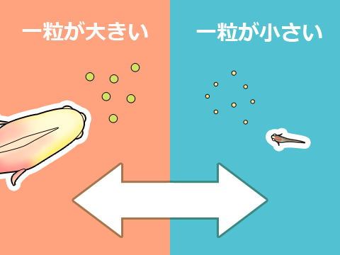 熱帯魚 エサの選び方 人工飼料