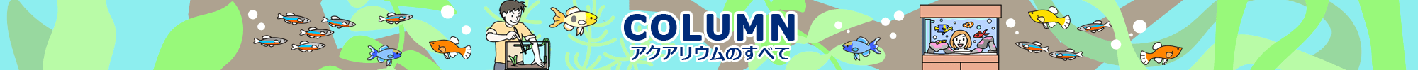 アクアリウムコラム