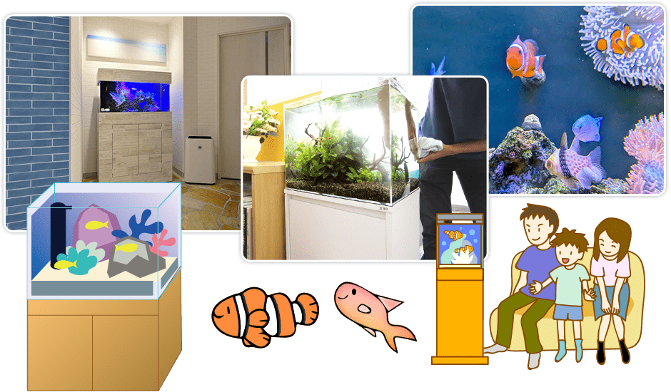 アクアリウムを始めたい