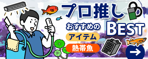 プロ推しベスト熱帯魚＆アイテム