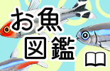 お魚図鑑