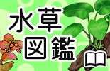 水草図鑑