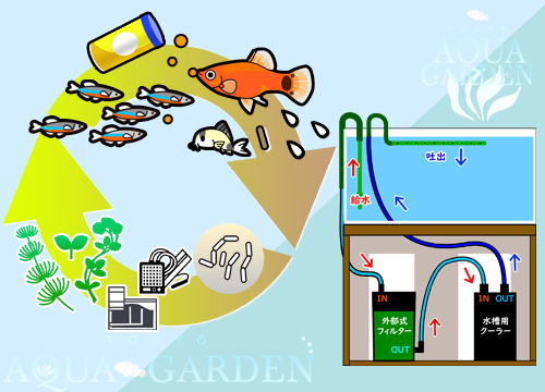 アクアガーデン独自システム水槽