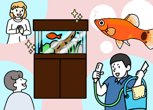 アクアガーデン独自システム メンテナンス