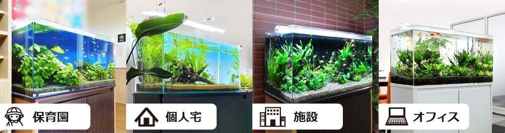 東京アクアガーデンオリジナル水槽