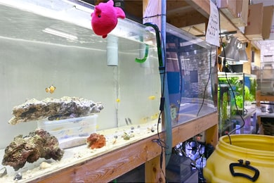 東京アクアガーデン 作業場