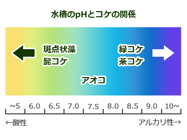 水槽 コケとpHの関係