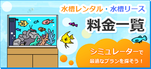 水槽レンタル料金一覧 シミュレーター